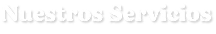 Titulo Nuestros Servicios
